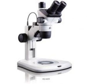 google_co_kr_20141001_170550